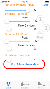 Run simulation