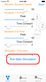 run simulation